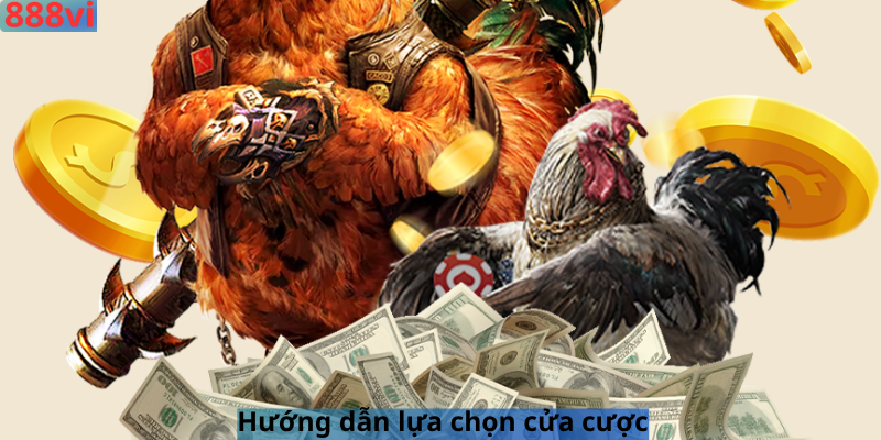 Hướng dẫn lựa chọn cửa cược 